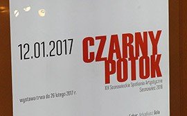 Pałac Schoena, Sosnowiec 23.02.2017